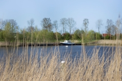 WHen-IMG_6938 (Large)